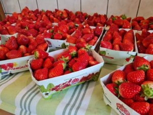 Endlich noch mehr Farbe im Hofladen, die ersten Erdbeeren sind da!